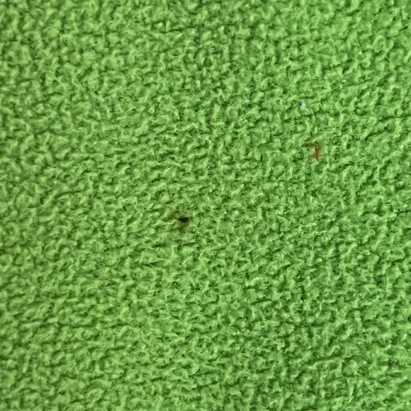 The North Face Womens Fleece Jacket Lime Green Windwall Full Zip L G - Picture 2 of 8